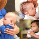 Nietolerancja Laktozy czy Alergia na Białka Mleka Krowiego, Matka Aptekarka