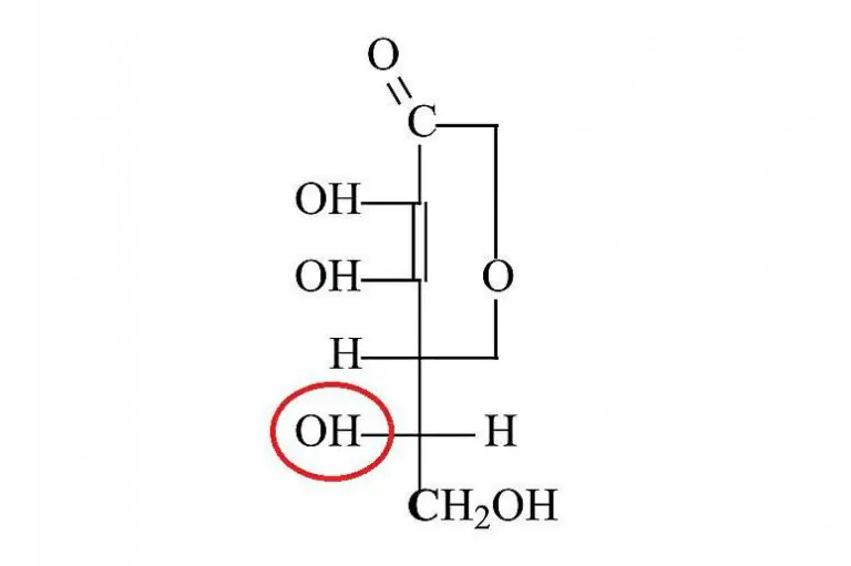 kwas L-askorbinowy (+) grupa -OH Matka Aptekarka